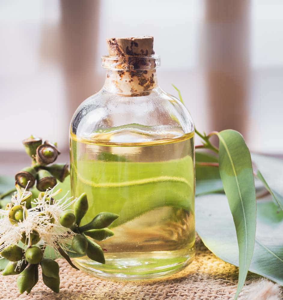 Moisturizing Oil